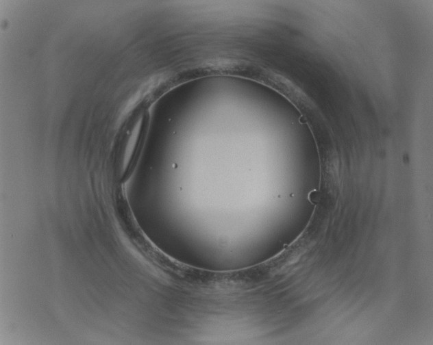 X0000074290734200609081851