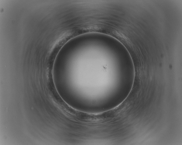 X0000074290735200609081851