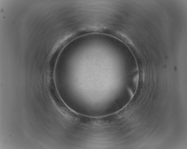 X0000074290736200609081851