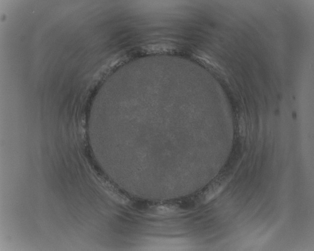 X0000074290737200609081851