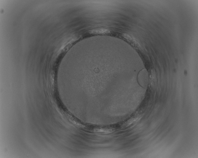 X0000074290739200609081851