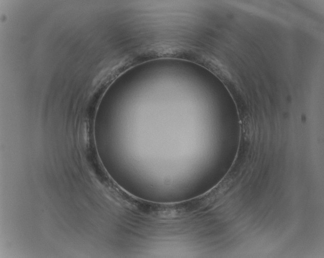 X0000074290740200609081851