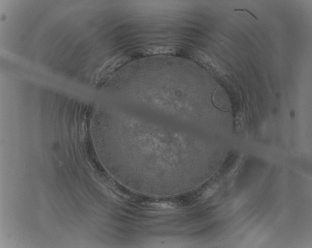 X0000074290741200609081851