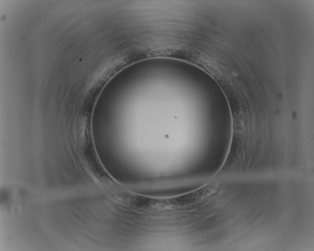 X0000074290742200609081851