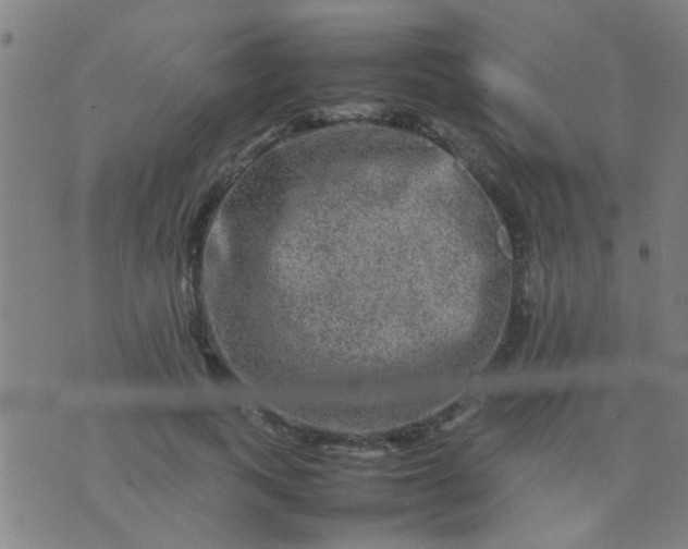 X0000074290743200609081851