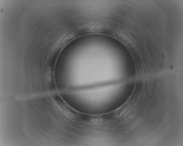 X0000074290744200609081851