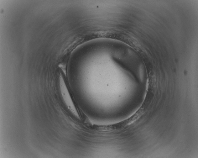 X0000074290750200609081851