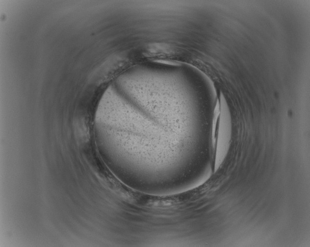 X0000074290751200609081851