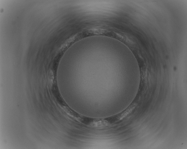 X0000074290752200609081851