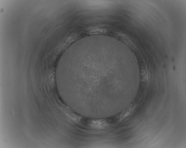 X0000074290753200609081852