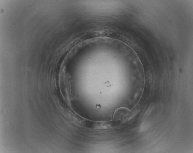 X0000074290754200609081852