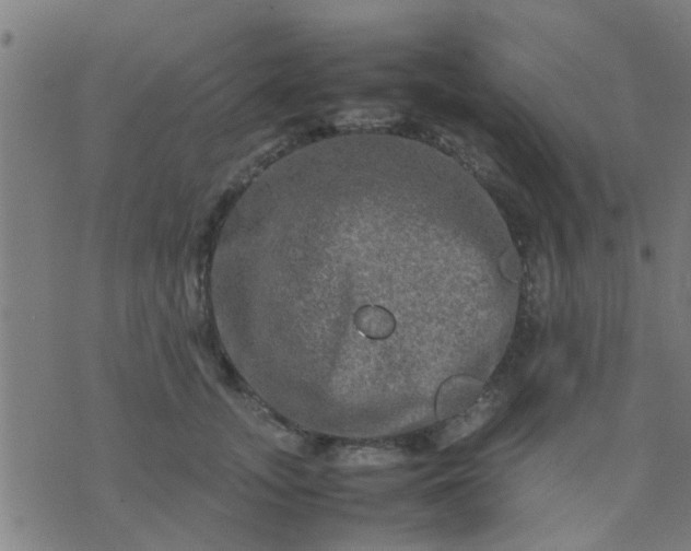 X0000074290755200609081852