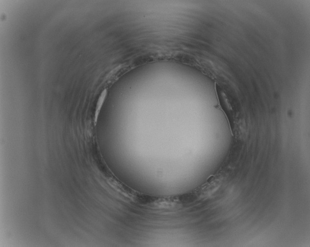 X0000074290756200609081852