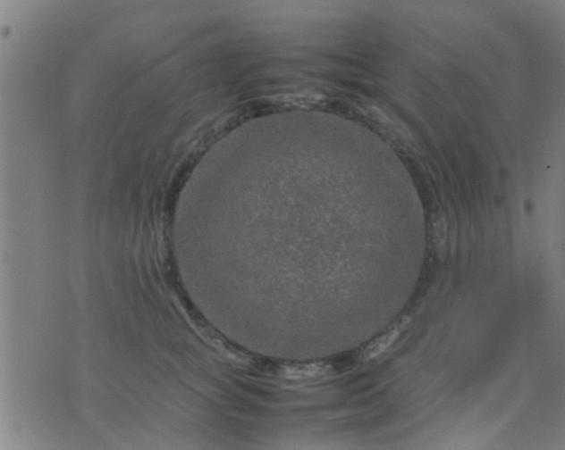 X0000074290757200609081852