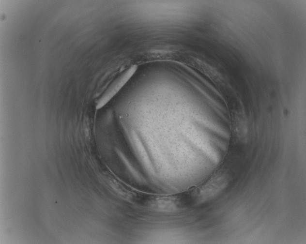 X0000074290758200609081852