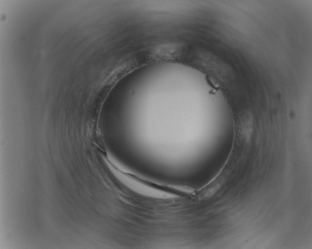 X0000074290759200609081852