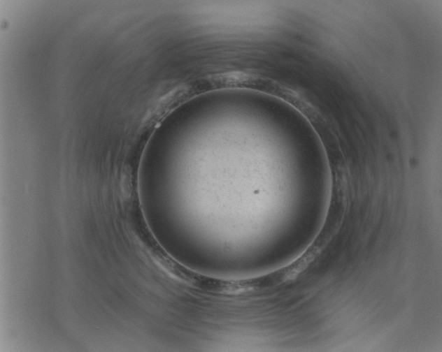 X0000074290760200609081852