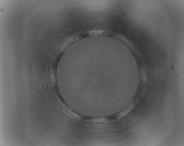 X0000074290761200609081852