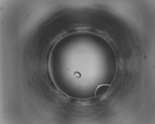 X0000074290763200609081852