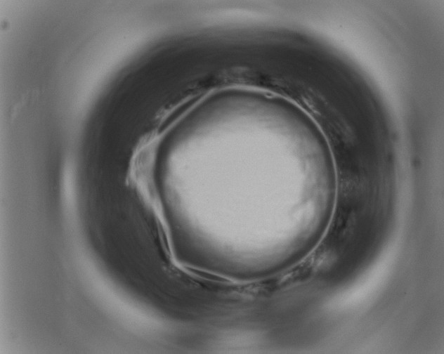 X0000074290765200609081852