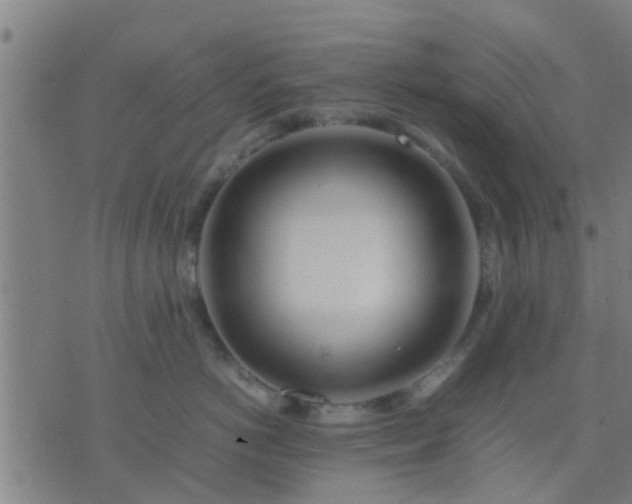 X0000074290766200609081852