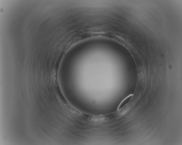 X0000074290767200609081852