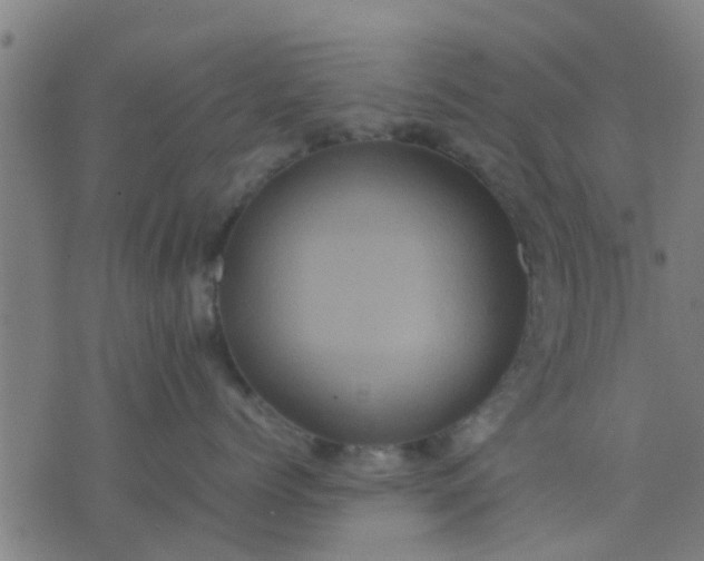 X0000074290768200609081852