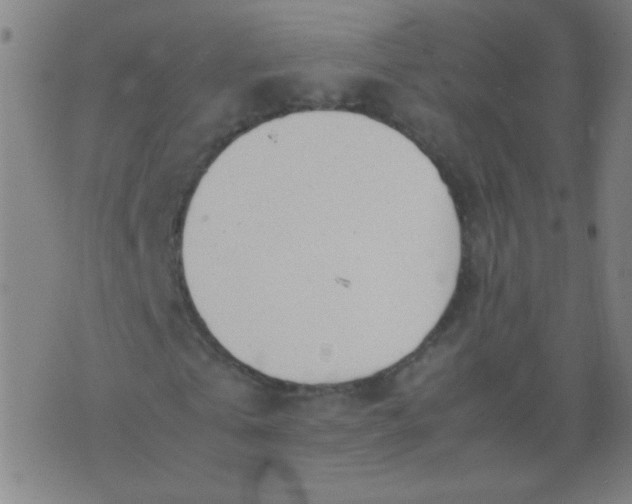 X0000074290769200609081851