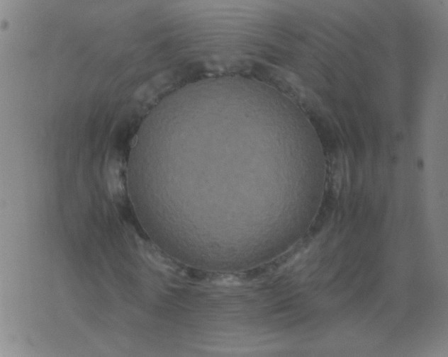 X0000074290770200609081851