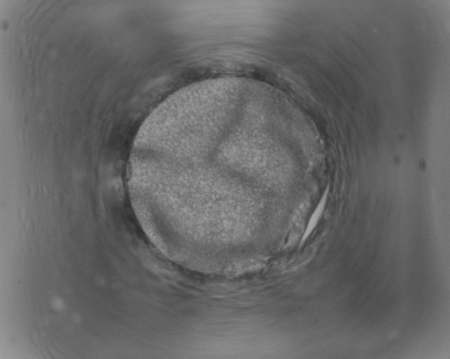 X0000074290771200609081851