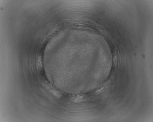 X0000074290772200609081851