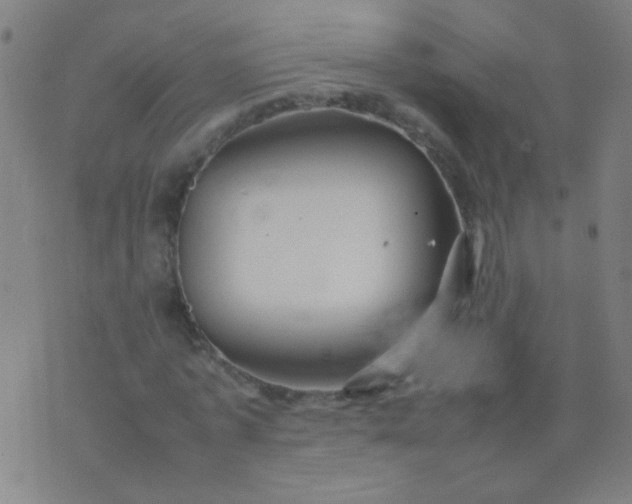 X0000074290773200609081851