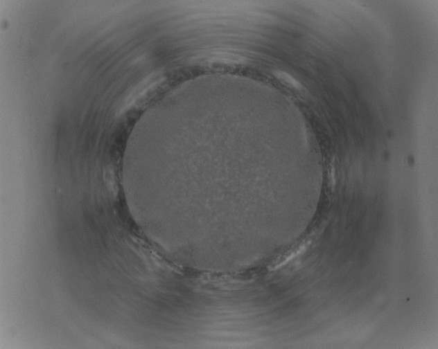 X0000074290774200609081851