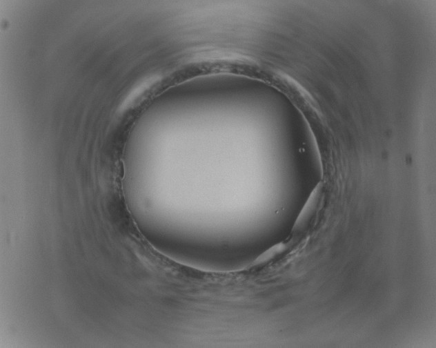 X0000074290775200609081851