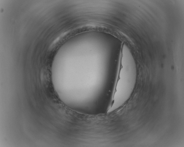 X0000074290776200609081851