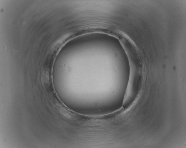 X0000074290777200609081851