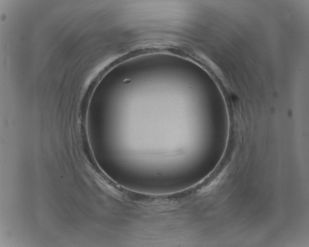 X0000074290779200609081851