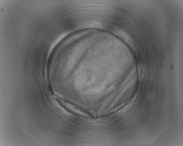 X0000074290780200609081851