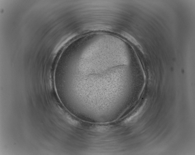 X0000074290782200609081851