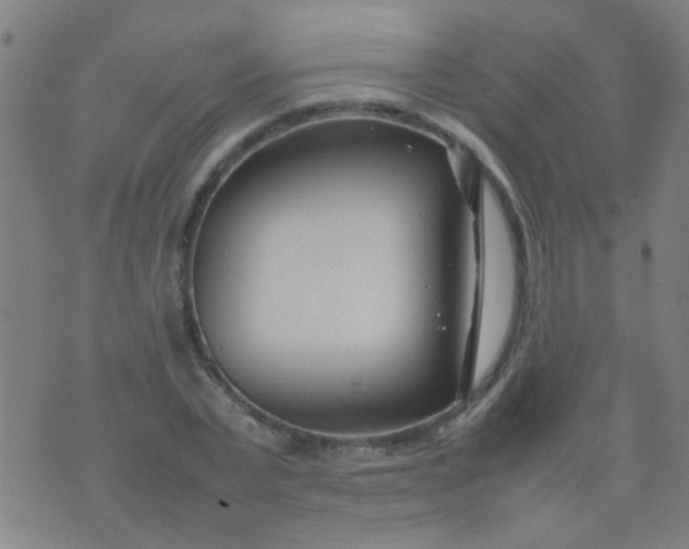 X0000074290783200609081851