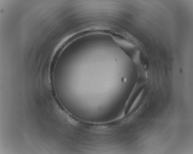 X0000074290784200609081851