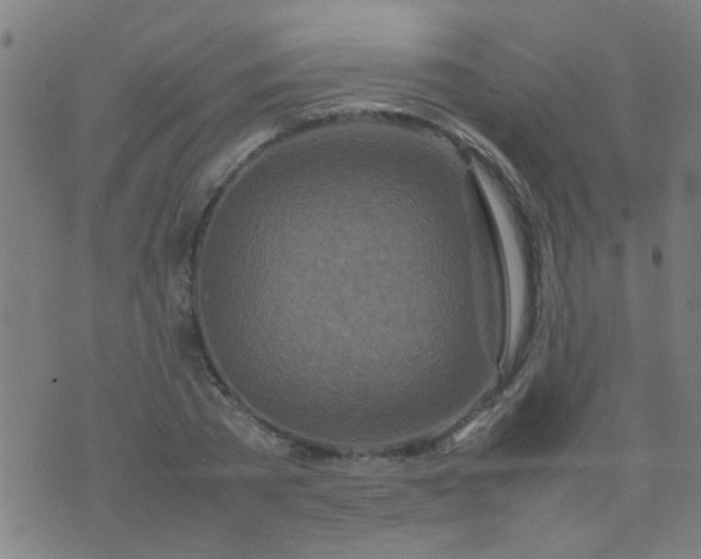 X0000074290785200609081851