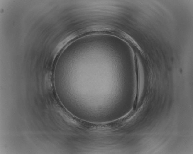 X0000074290786200609081851