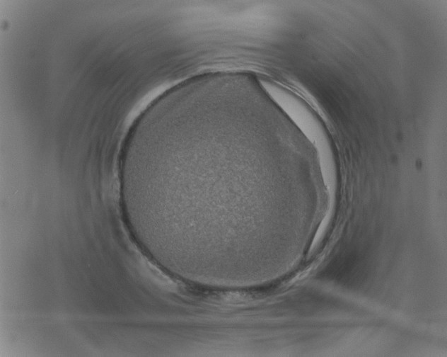 X0000074290787200609081851