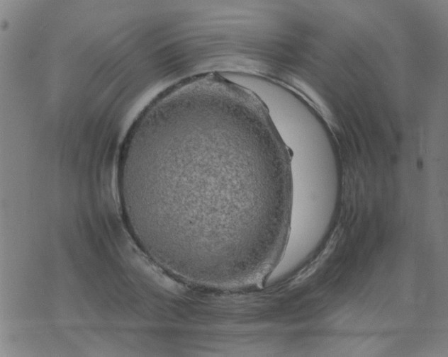 X0000074290788200609081851