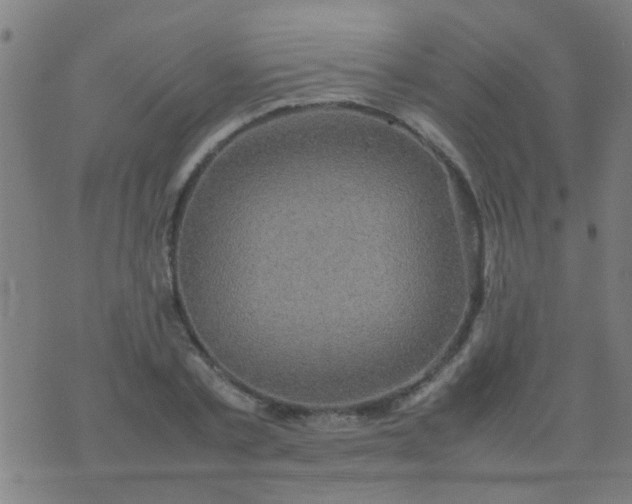 X0000074290789200609081851