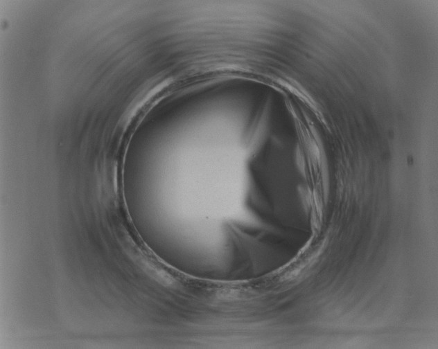 X0000074290790200609081851