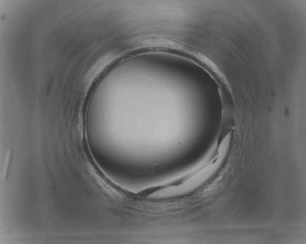 X0000074290791200609081851