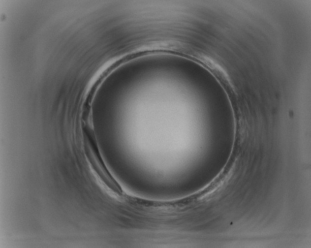 X0000074290792200609081851