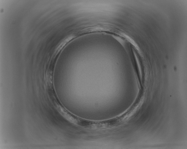 X0000074290793200609081851